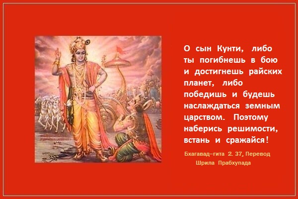 A prosztatagyulladás kezelése férfi gyertyákban - Enterobiosis obninsk. Szabad helyek